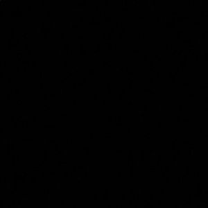 Meet your Posher, Raul